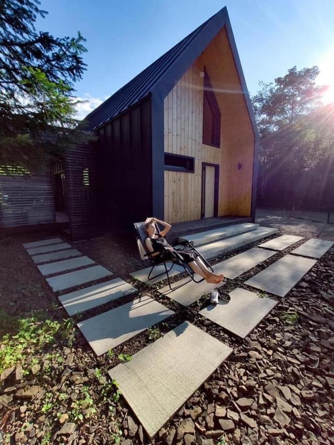 Bagriwood Lodges Jaremcse Kültér fotó